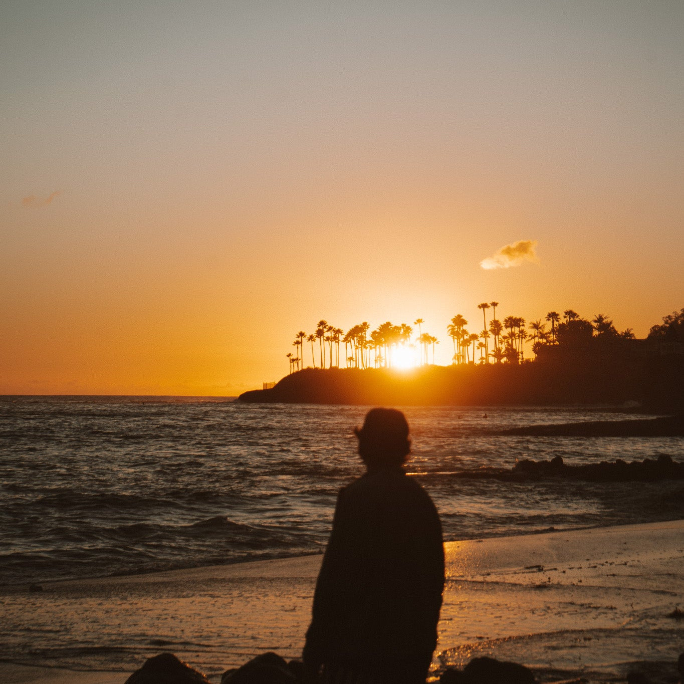 A silhouetted person stands on a beach at sunset, facing the ocean with palm trees and a glowing sun on the horizon.