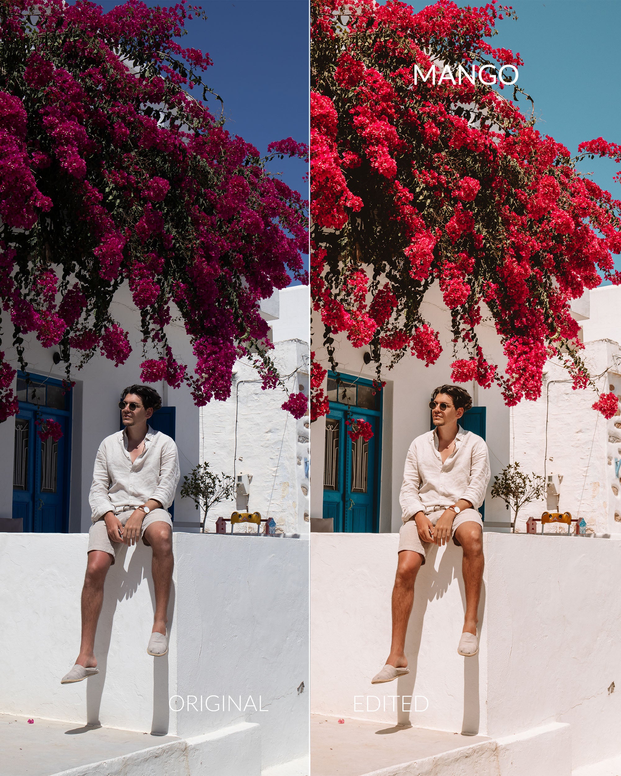 Summer Dream Collection