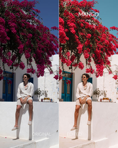 Summer Dream Collection